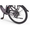 Rower elektryczny ECOBIKE X-City Coffee EVE 36V 14Ah (504Wh) 2024