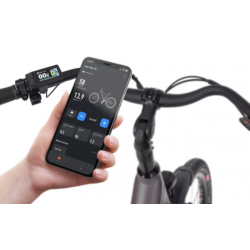 Rower elektryczny ECOBIKE X-City Coffee EXE 36V 17.5Ah (630Wh) 2024