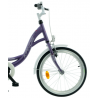 Rower dziecięcy KANDS DIANA FALCON fioletowy mat 2024