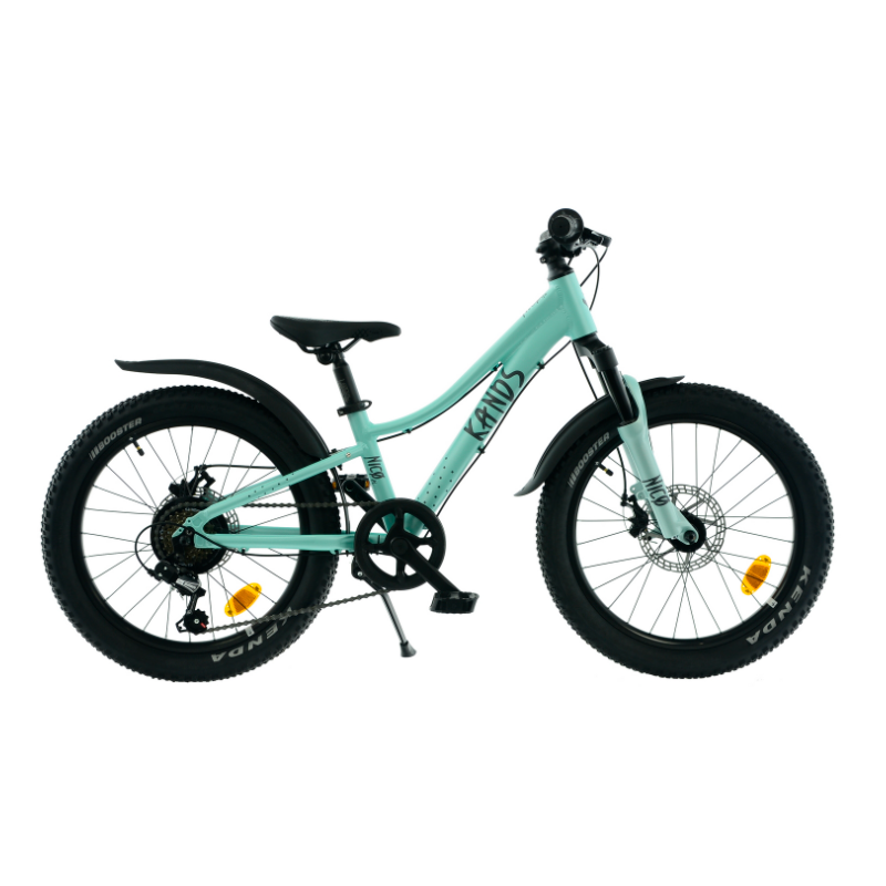 Rower dziecięcy KANDS NICO AM miętowy mat 2024