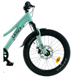 Rower dziecięcy KANDS NICO AM miętowy mat 2024