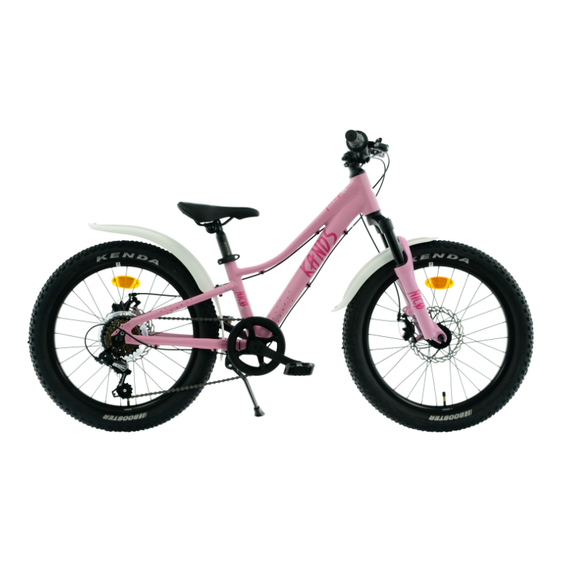 Rower dziecięcy KANDS NICO AM różowy mat 2024