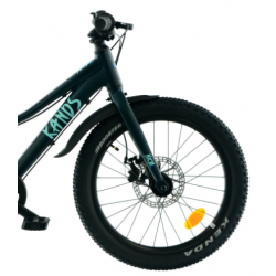 Rower dziecięcy KANDS NICO ciemnozielony mat 2024