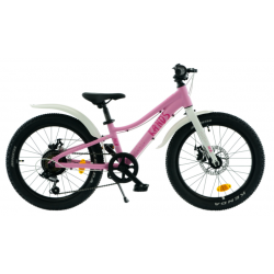 Rower dziecięcy KANDS NICO...