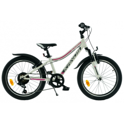Rower dziecięcy KANDS SMART...