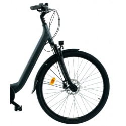 Rower elektryczny KANDS LA RIVA grafitowy mat 2024