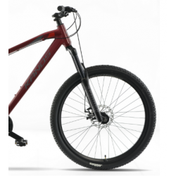 Rower górski KANDS MERCURY bordowy połysk 2024