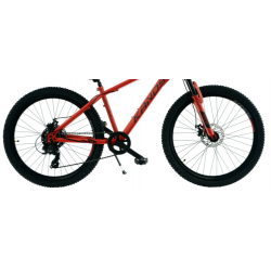 Rower młodzieżowy KANDS BATTLE czerwony mat