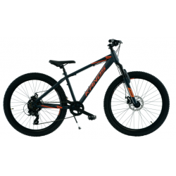 Rower młodzieżowy KANDS...