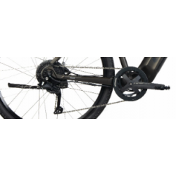 Rower elektryczny UNIBIKE Falcon LDS zielony