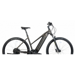 Rower elektryczny UNIBIKE Falcon LDS zielony