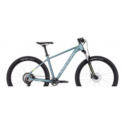 Rower XC 29 KELLYS Spider X50 łupkowy / szary 2024