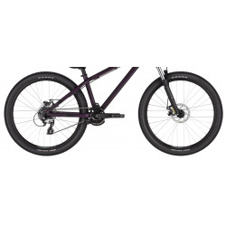 Rower Dirt KELLYS Whip 10 fioletowy 2024
