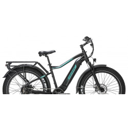 Rower elektryczny JOBOBIKE Apex 48V 14Ah (672 Wh) czarny / zielony 2024