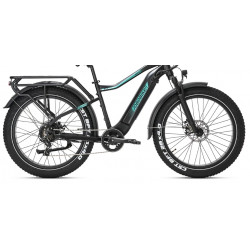 Rower elektryczny JOBOBIKE Apex 48V 14Ah (672 Wh) czarny / zielony 2024