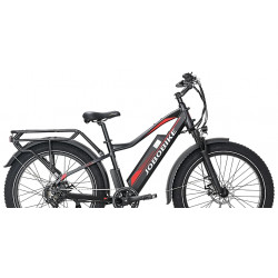 Rower elektryczny JOBOBIKE Robin 48V 13Ah czarny