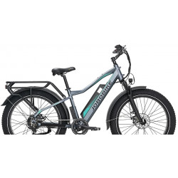 Rower elektryczny JOBOBIKE Robin 48V 13Ah szary 2024