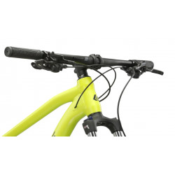 Rower górski 29 KROSS Level 1.0 limonkowy / czarny mat 2024