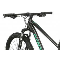 Rower górski 29 KROSS Level 1.0 czarny / zielony połysk