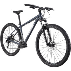 Rower górski 29 CANNONDALE Trail 6 Slate Gray 2024