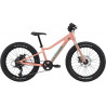 Rower dziecięcy CANNONDALE Kids Trail Plus 20 łososiowy