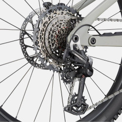 Rower elektryczny Cannondale Moterra Carbon LT 1 (800wh) szary 2025