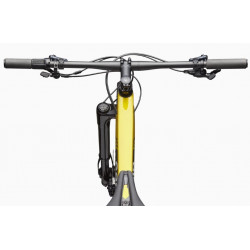 Rower górski CANNONDALE HT Carbon 1 czarny / żółty 2025