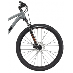 copy of GT Avalanche 29 Sport szary 2024