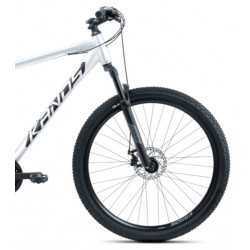 Rower górski 29 KANDS Guardian szary mat 2025