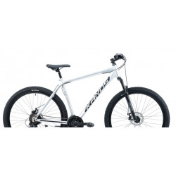 Rower górski 29 KANDS Guardian szary mat 2025
