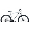 Rower górski 29 KANDS Guardian szary mat 2025