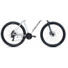 Rower górski 29 KANDS Guardian szary mat 2025