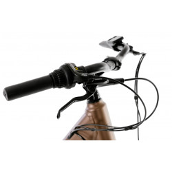 Rower elektryczny PROECO WAVE AN 1.0 R 504WH brązowy 2025