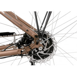 Rower elektryczny PROECO WAVE AN 1.0 R 504WH brązowy 2025