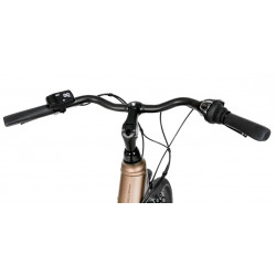 Rower elektryczny PROECO WAVE AN 1.0 R 504WH brązowy 2025