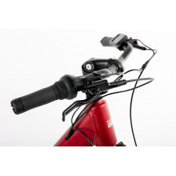 Rower elektryczny PROECO WAVE AN 1.0 R 504WH czerwony 2025