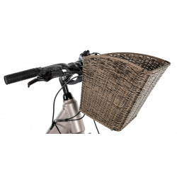 Rower elektryczny ROMET WAVE AN 1.0 504WH szampański 2025