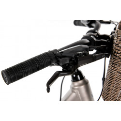 Rower elektryczny ROMET WAVE AN 1.0 504WH szampański 2025