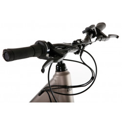 Rower elektryczny PROECO WAVE AN MAGURA 1.0 504WH