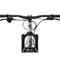 Rower górski 24 GIANT Faith Raw Aluminum 2025