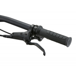 Rower górski 24 GIANT Faith Raw Aluminum 2025