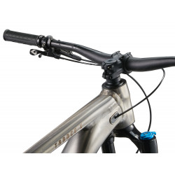 Rower górski GIANT Trance X 1 Smoke Metal 2025