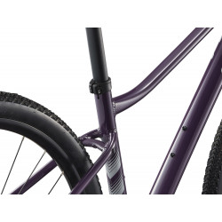 Rower crossowy LIV Rove 1 Tyrian Purple 2025