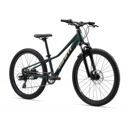 Rower młodzieżowy GIANT Talon 24 Disc Trekking Green 2025