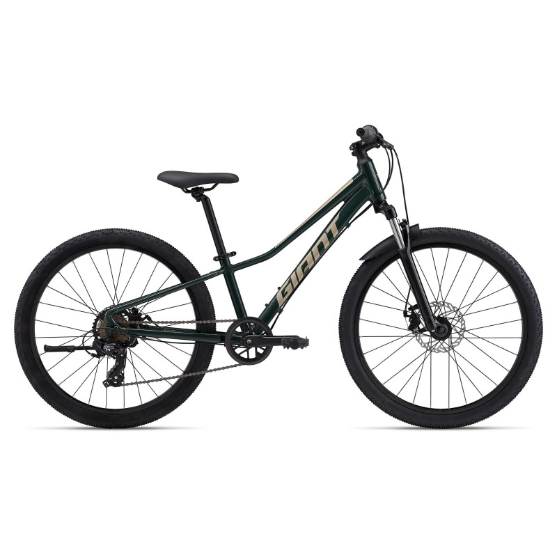 Rower młodzieżowy GIANT Talon 24 Disc Trekking Green 2025
