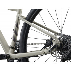 Rower crossowy LIV Rove 3 Pulp Gray 2025