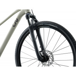 Rower crossowy LIV Rove 3 Pulp Gray 2025