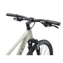 Rower crossowy LIV Rove 3 Pulp Gray 2025