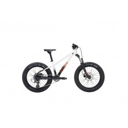 Rower dziecięcy 20 MARIN...