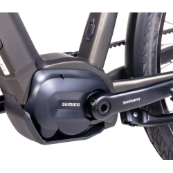 copy of Rower elektryczny Unibike Energy LDS ciemnozielony 2024